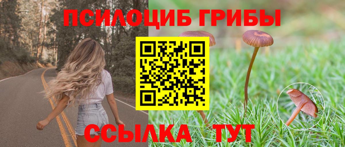 Галлюциногенные грибы Magic Shrooms  Вход с VPN  Набережные Челны 